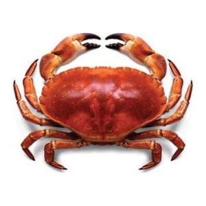 Crabe (Sea) 1 Kg